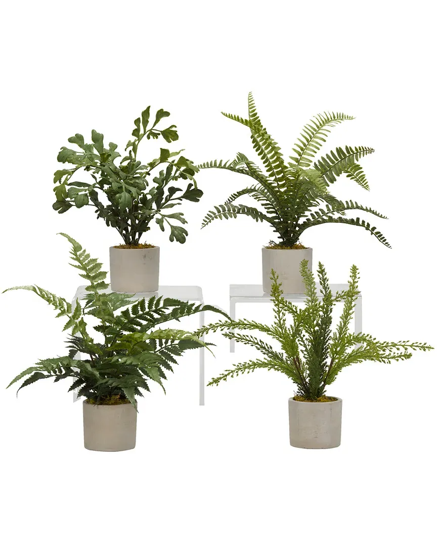 Set of 4 Mini Ferns in Cement Cylinders - Green