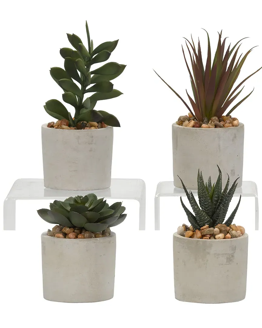 Set of 4 Succulents in Mini Cement Cylinders - Green image