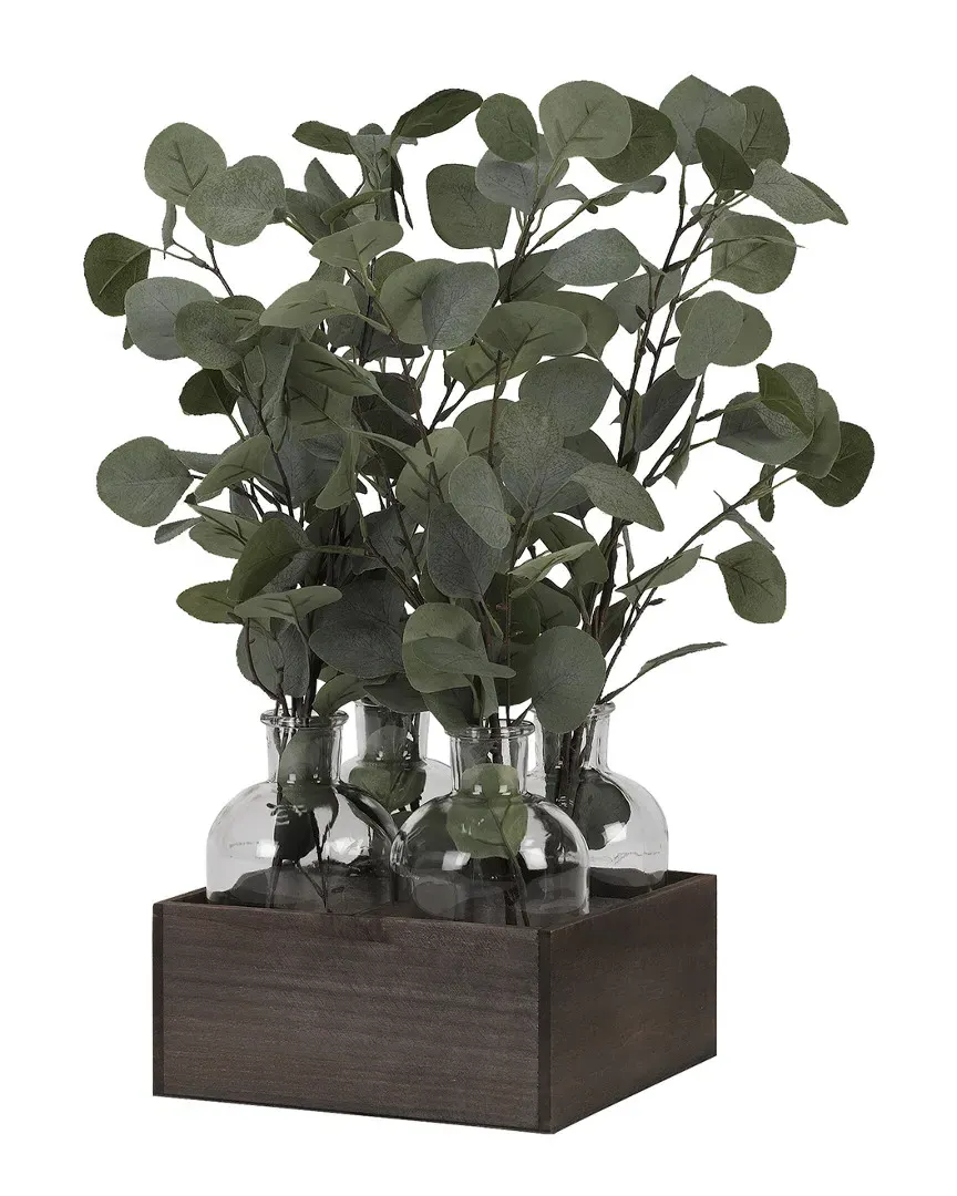 Silver Dollar Eucalyptus in Glass Bottles - Green, Wood