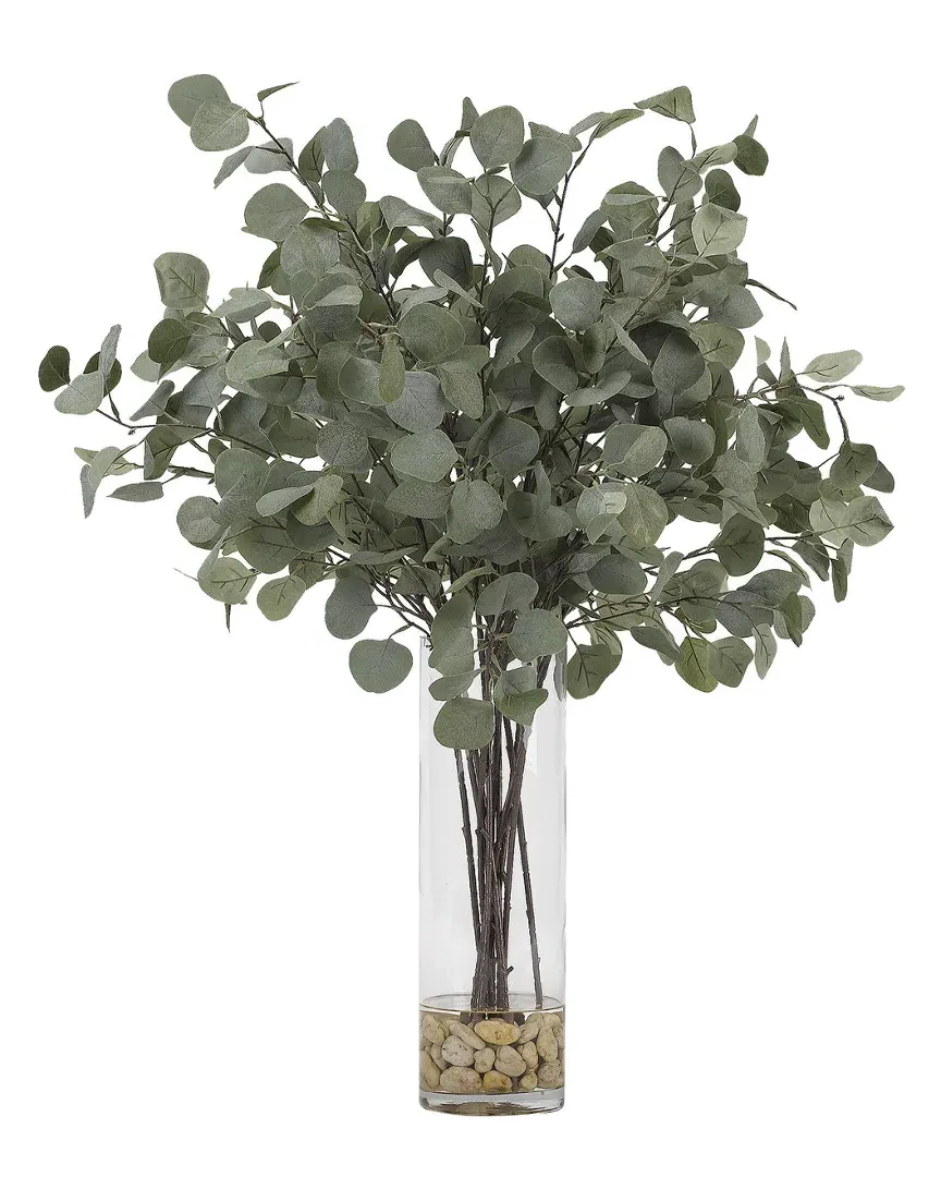 Silver Dollar Eucalyptus in Glass Cylinder - Green, Glass