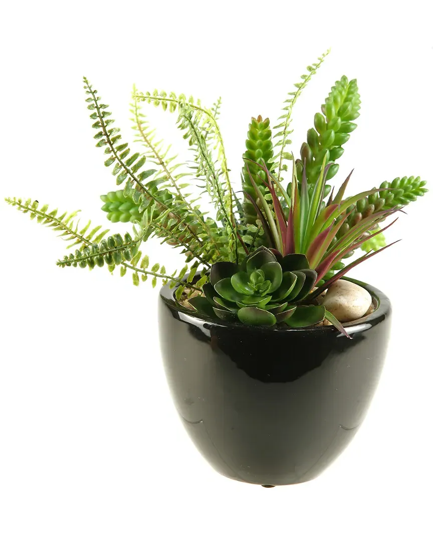 Succulent, Aloe and Echeveria Round Planter - Green, Ceramic