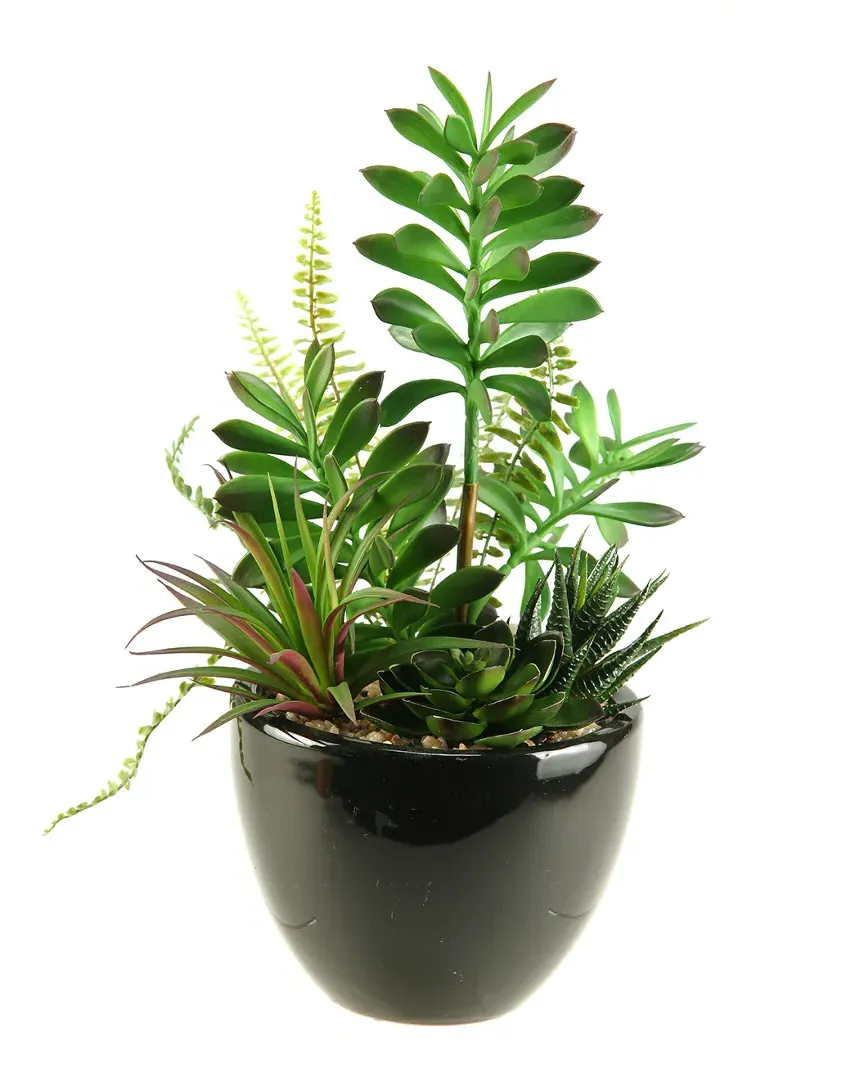 Succulent, Aloe and Echeveria Round Planter - Green, Ceramic