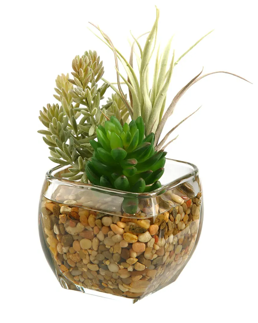 Succulent and Flocked Burro Tail in Glass Cube - Green image