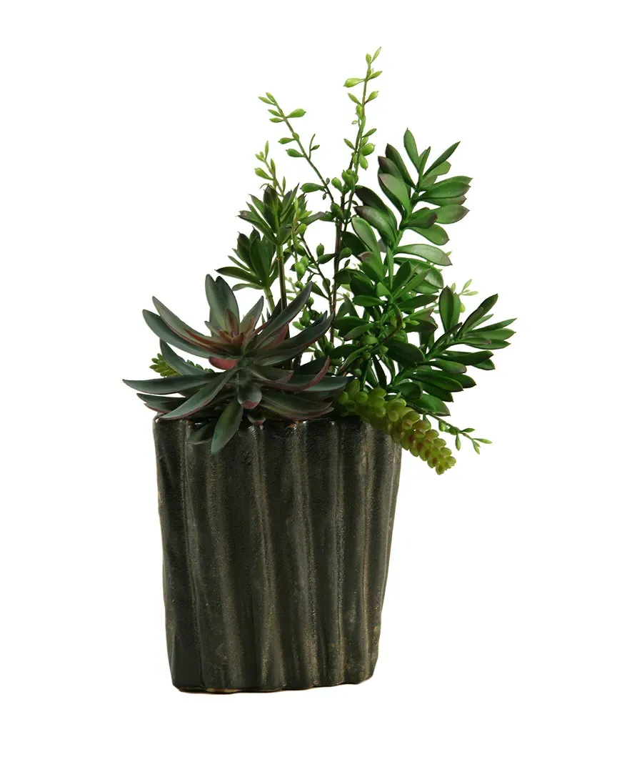 Succulents and Aloe in Oval Ceramic Planter - Green image