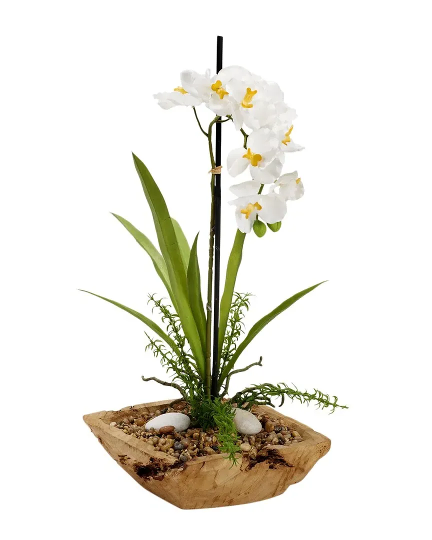 Vanda Orchid in Square Wooden Bowl - White image