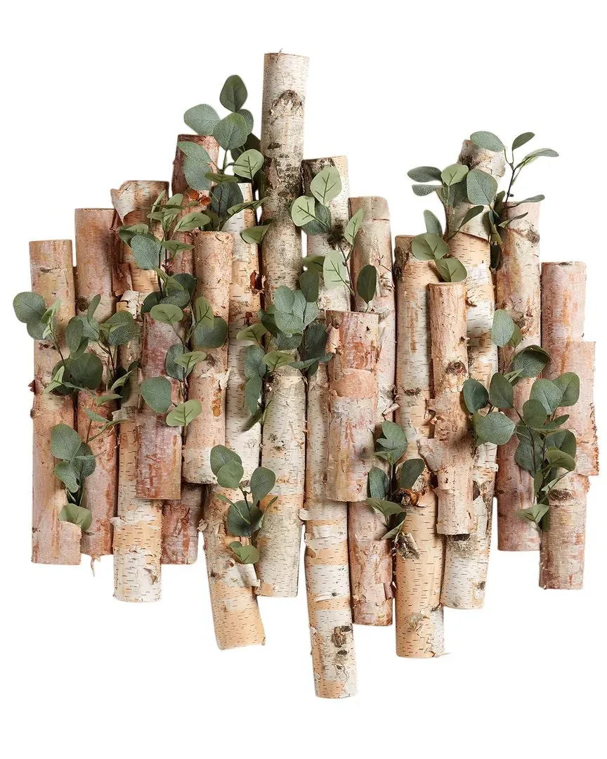Wall Hanging Birch with Silver Dollar Branches - Brown image