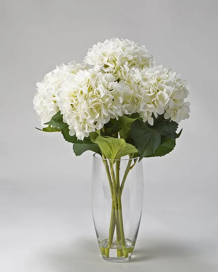 White Hydrangeas in Glass Vase - White, Glass