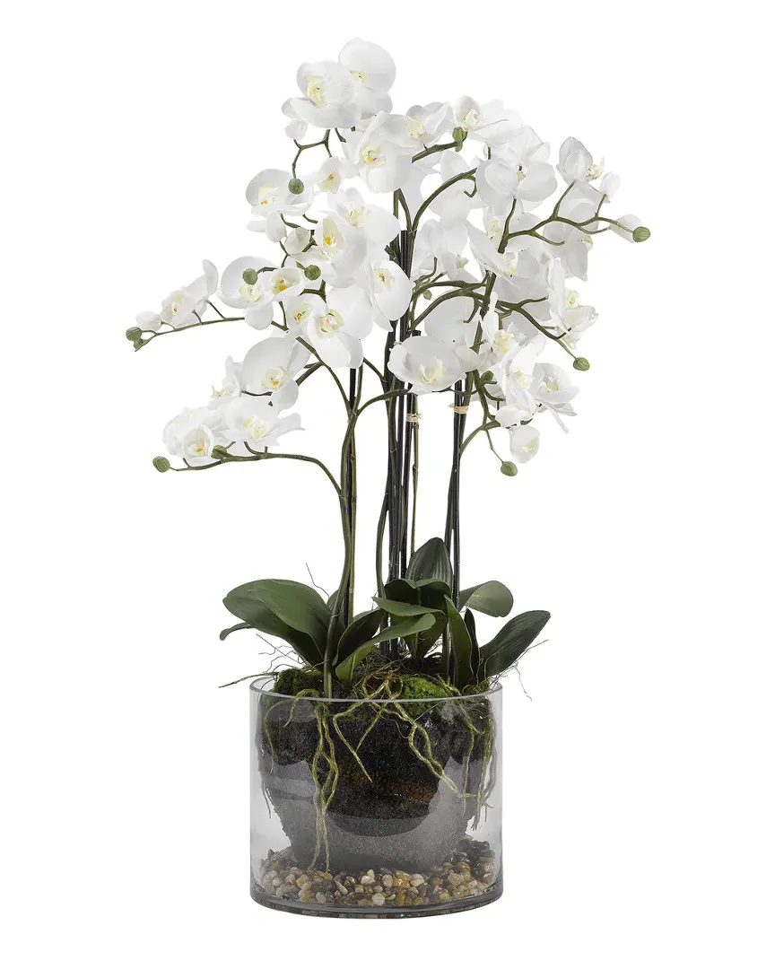 White Orchids in Glass Dish - White, Silk