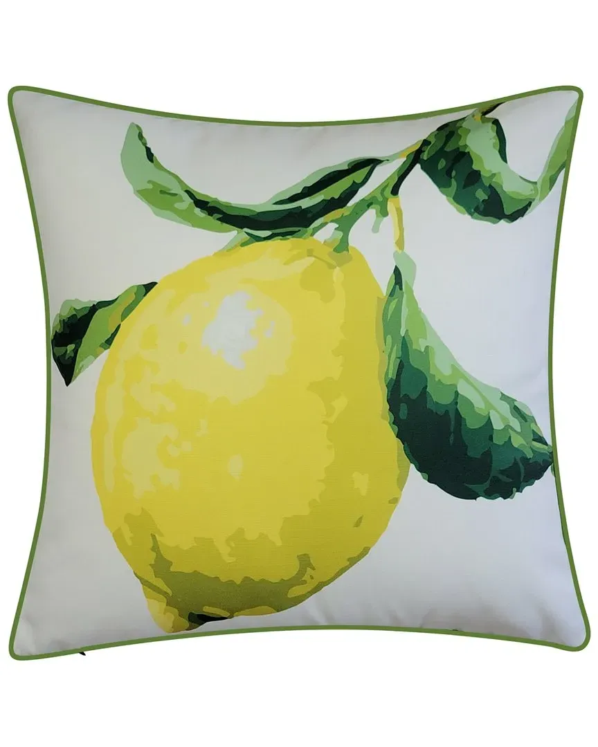NYBG Indoor/Outdoor Square Decorative Pillow - Oversized Lemon Print
