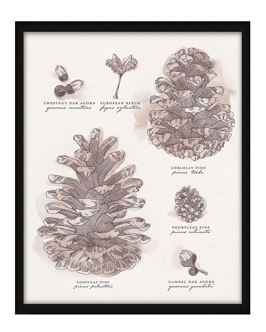 Pinecone Study Wall Art - Black Wood Frame image