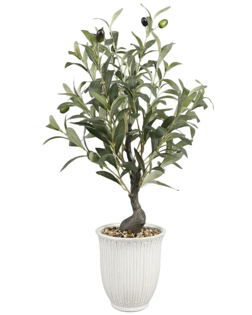 Flora Bunda 25.5in Olive Tree in Ceramic Planter - Ivory image