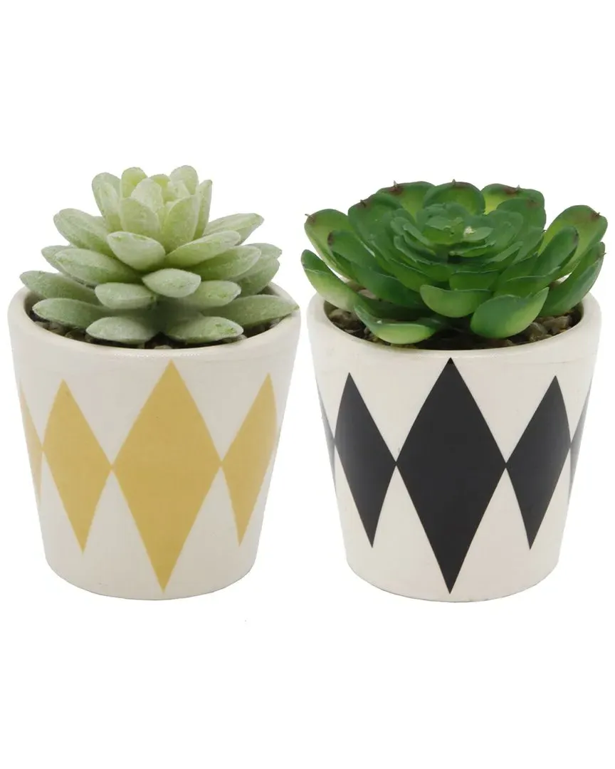Set of 2 Succulents in Diamond Print Ceramic Pots - Black image