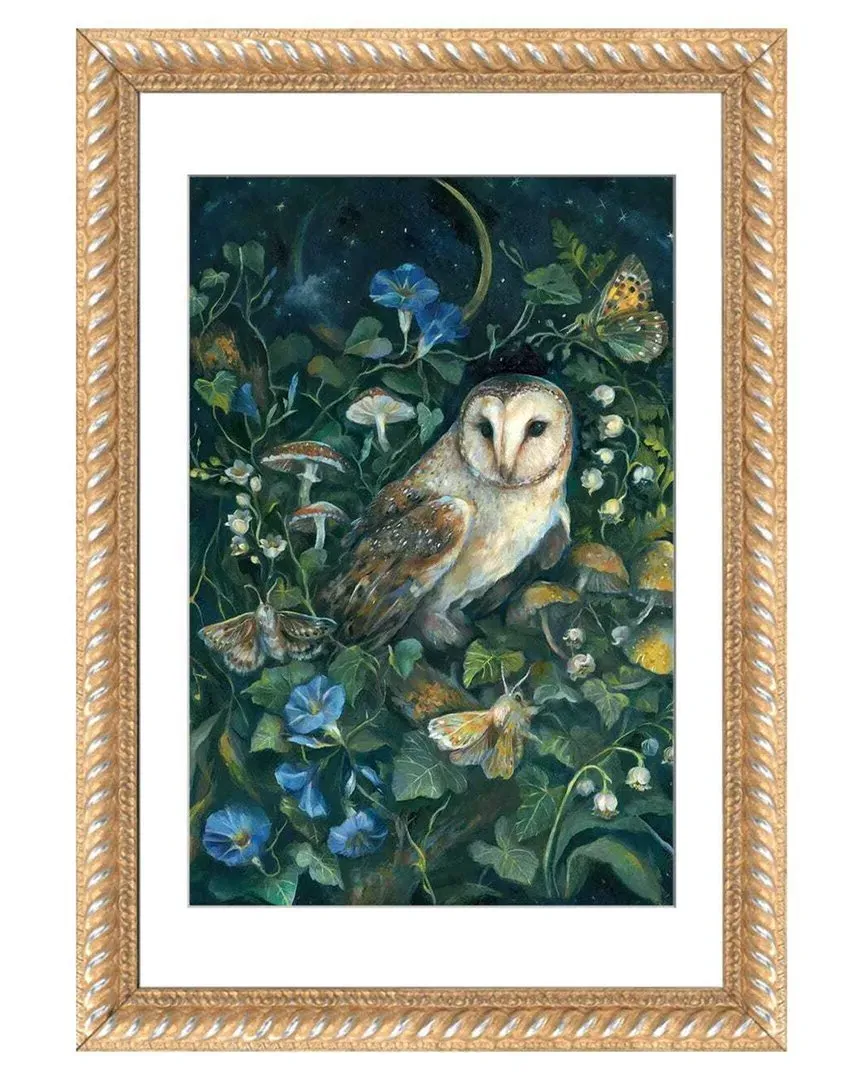 Barn Owl by Clara McAllister Wall Art - Indonesian Hardwood