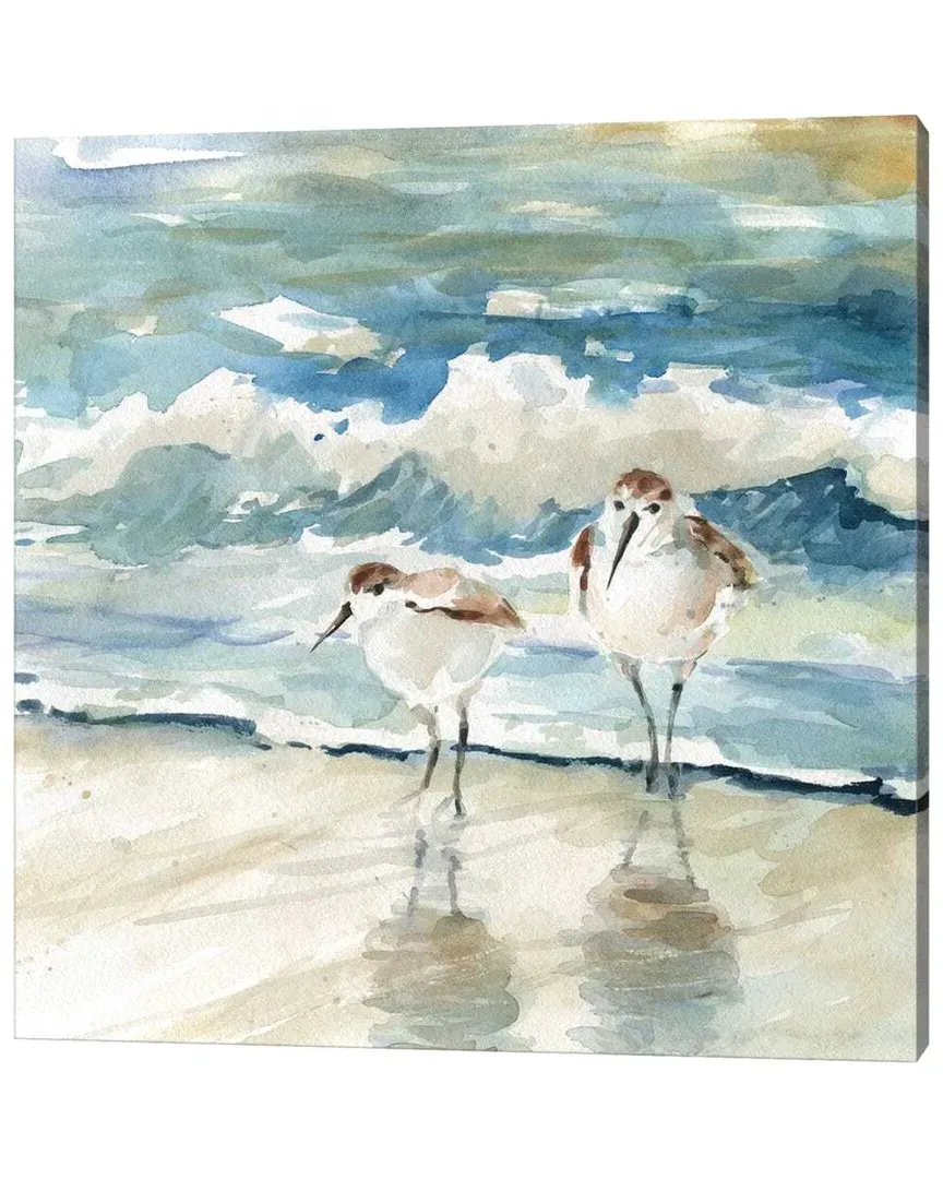 Beach Birds by Carol Robinson Wall Art