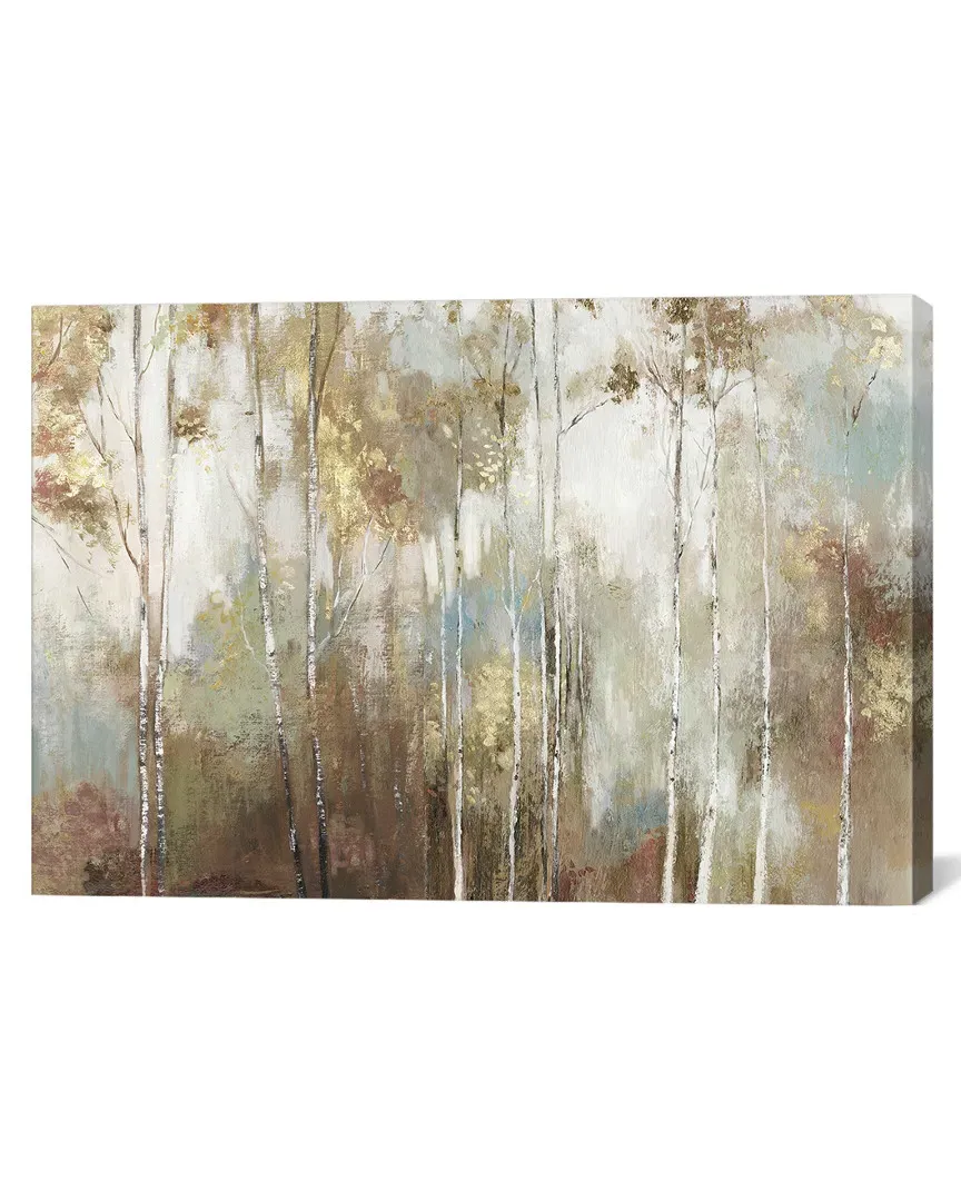 Fine Birch III Canvas Wall Art by Allison Pearce