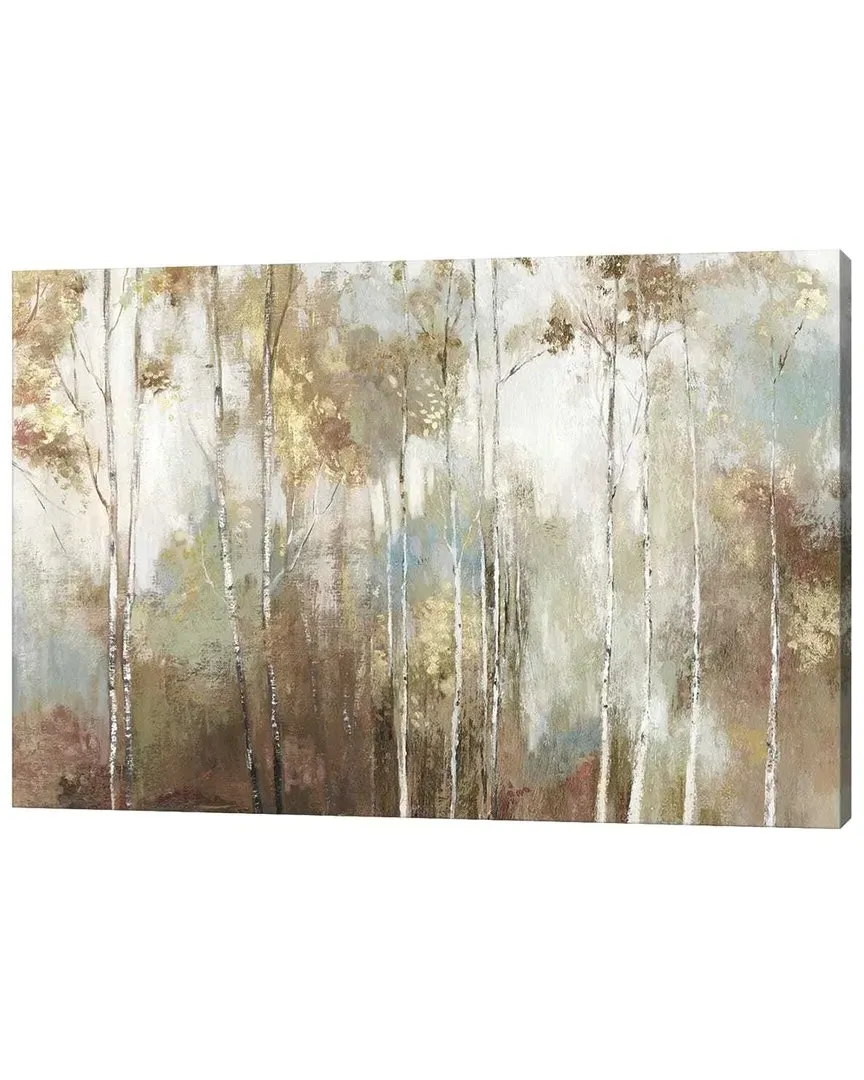 Fine Birch III Giclee Canvas Wall Art by Allison Pearce image
