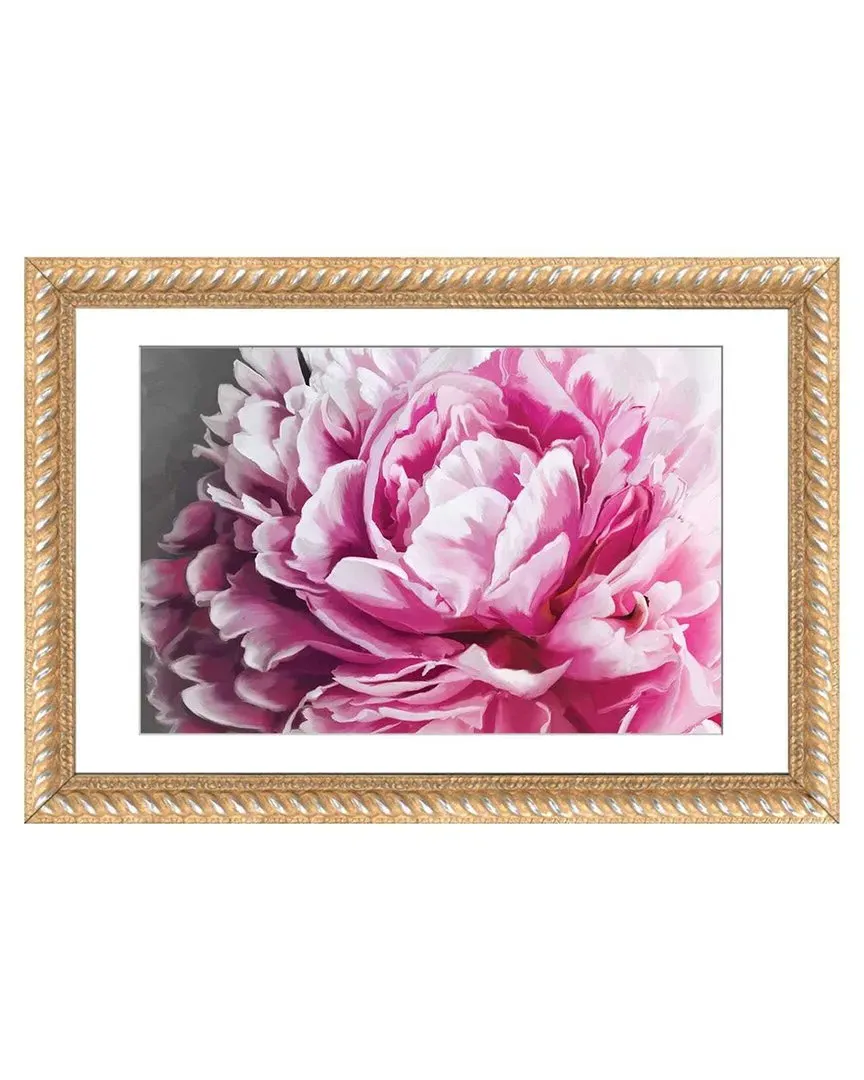 Peony Blush Wall Art - Indonesian Hardwood image