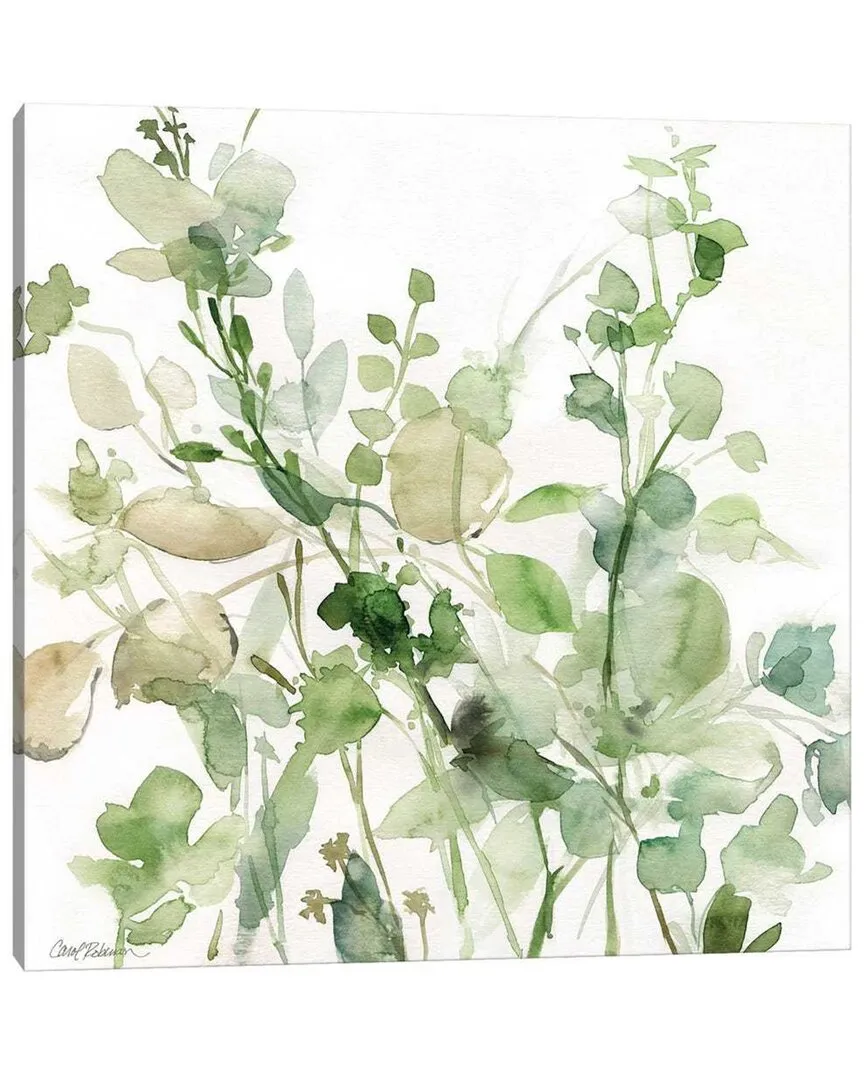 Sage Garden II by Carol Robinson Wall Art