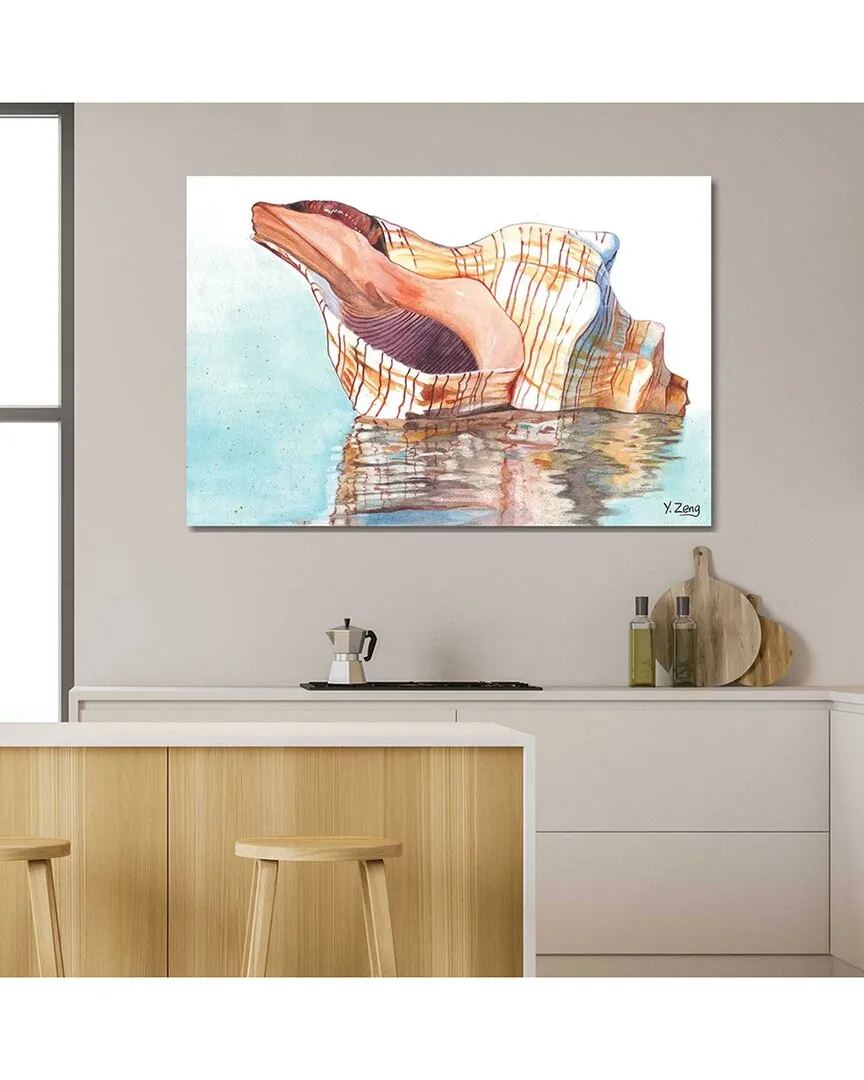 Seashell by Yue Zeng Wall Art image