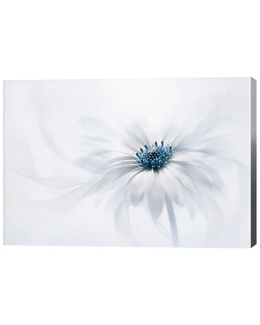 Serenity by Jacky Parker Wall Art image