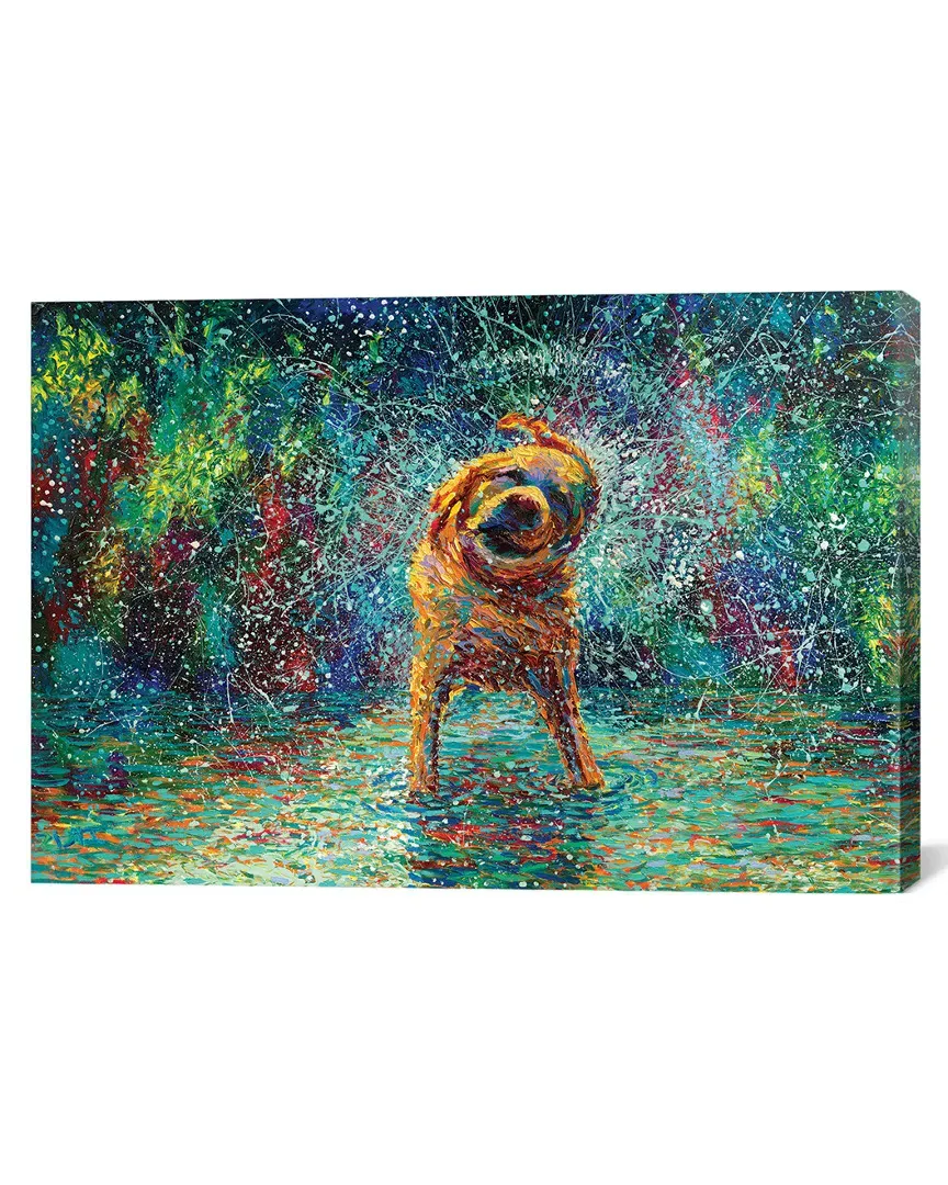 Shakin' Jake by Iris Scott Canvas Wall Art