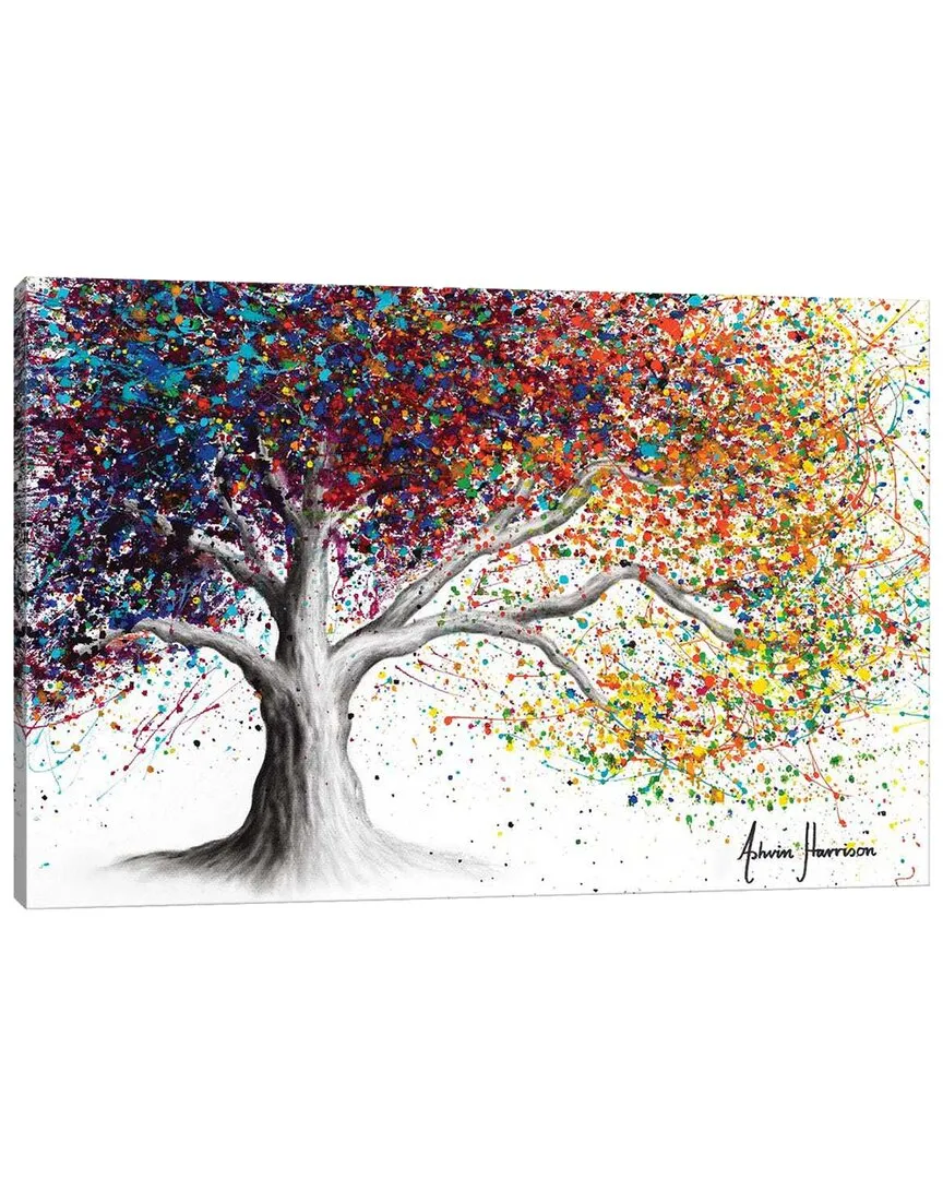 The Colour Of Dreams by Ashvin Harrison Canvas Wall Art