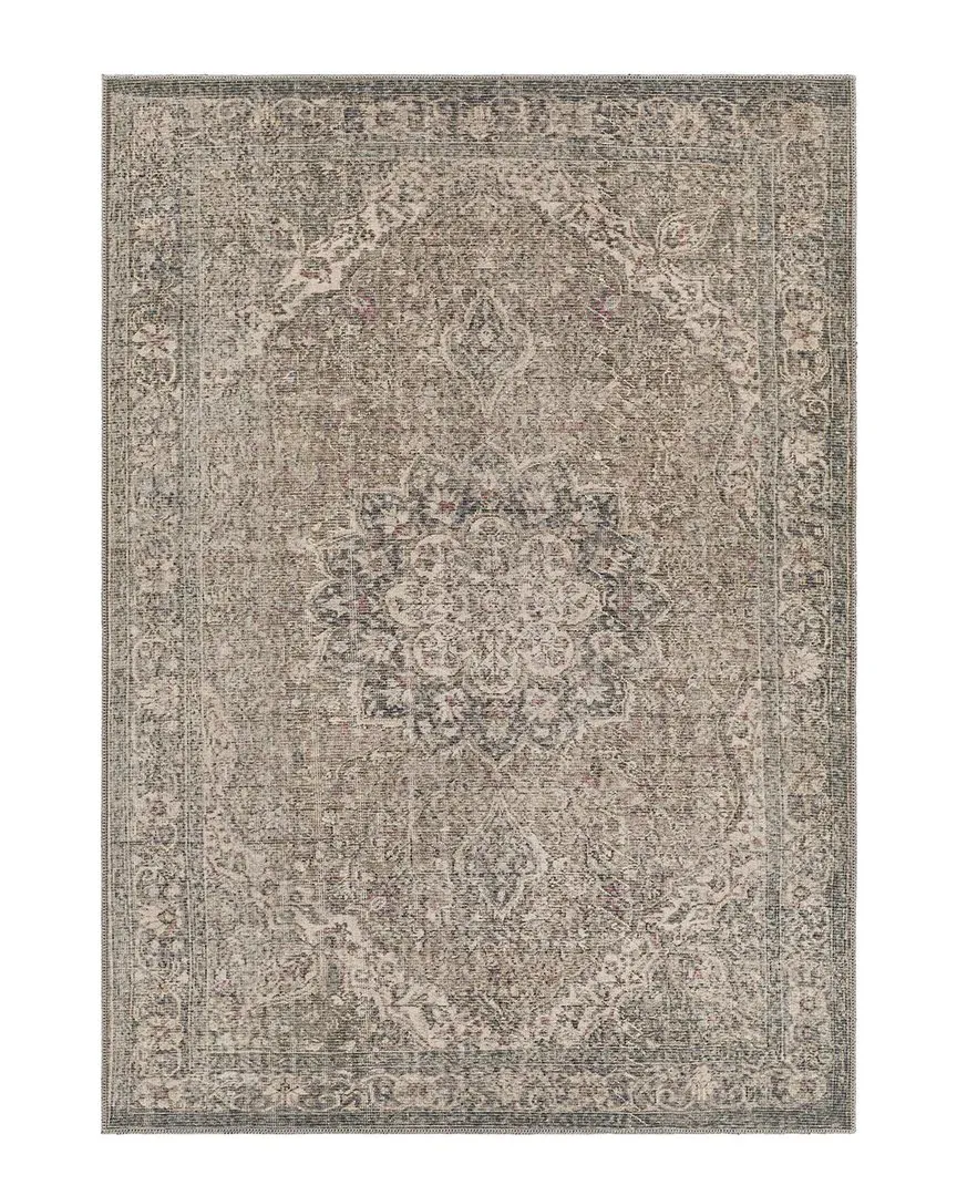 Surya Colin Washable Rug - Brown