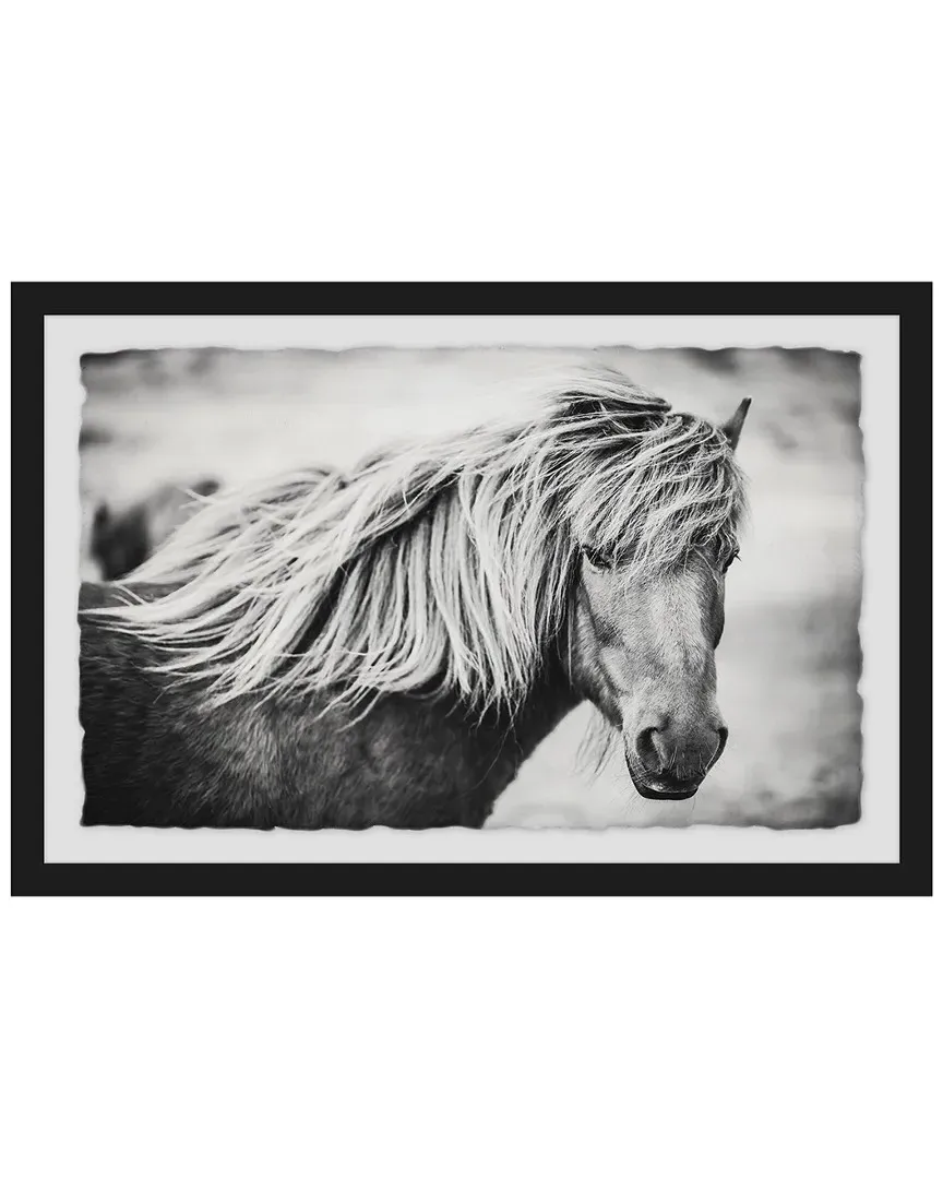 Beautiful Mane Framed Art Print image