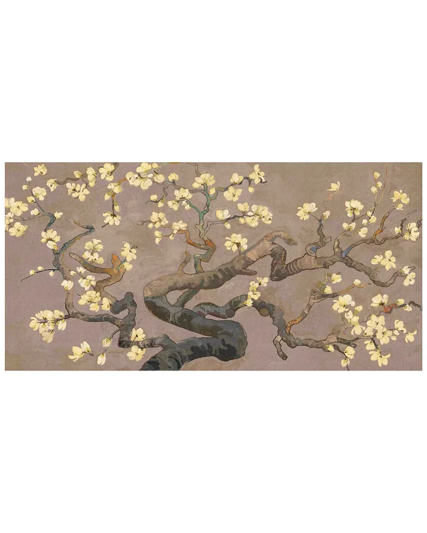 Brisbane Botanic Branches II Canvas Art Print image