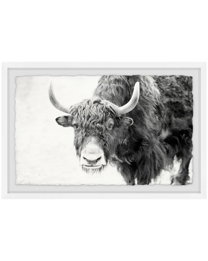 Buffalo Forward Framed Art Print - Giclee image