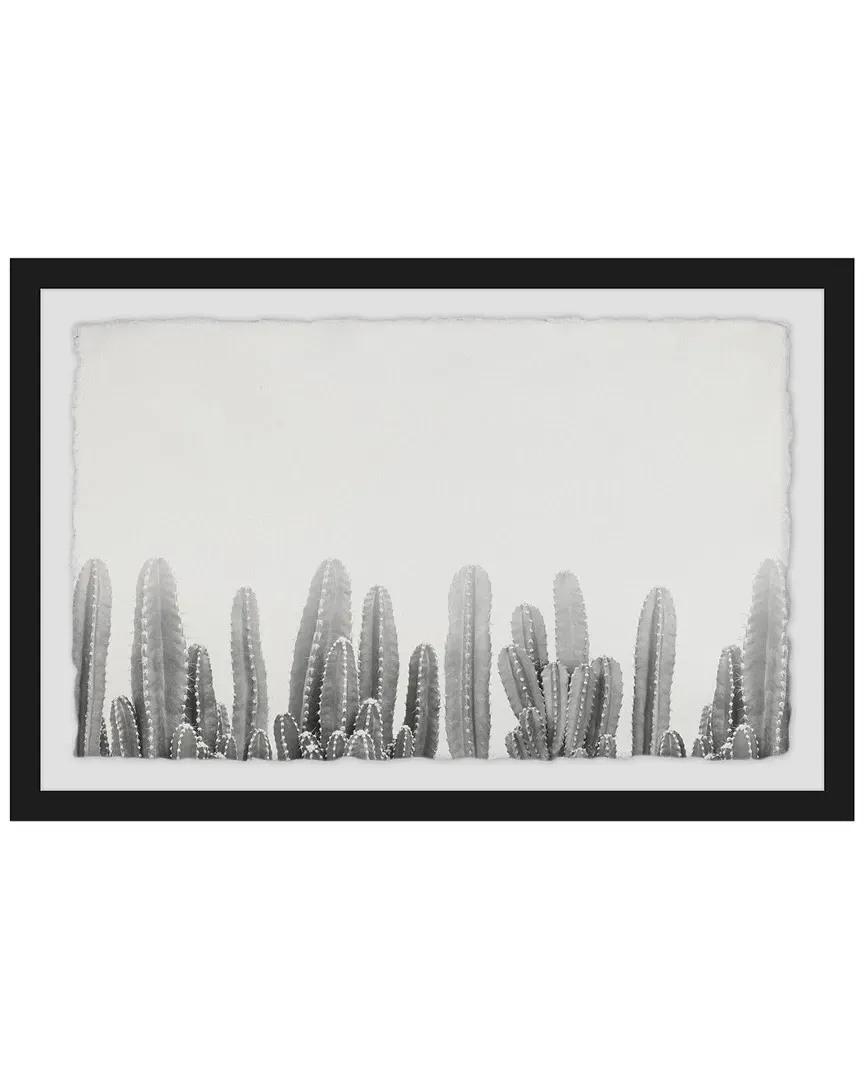 Cacti Splendor II Framed Art Print image