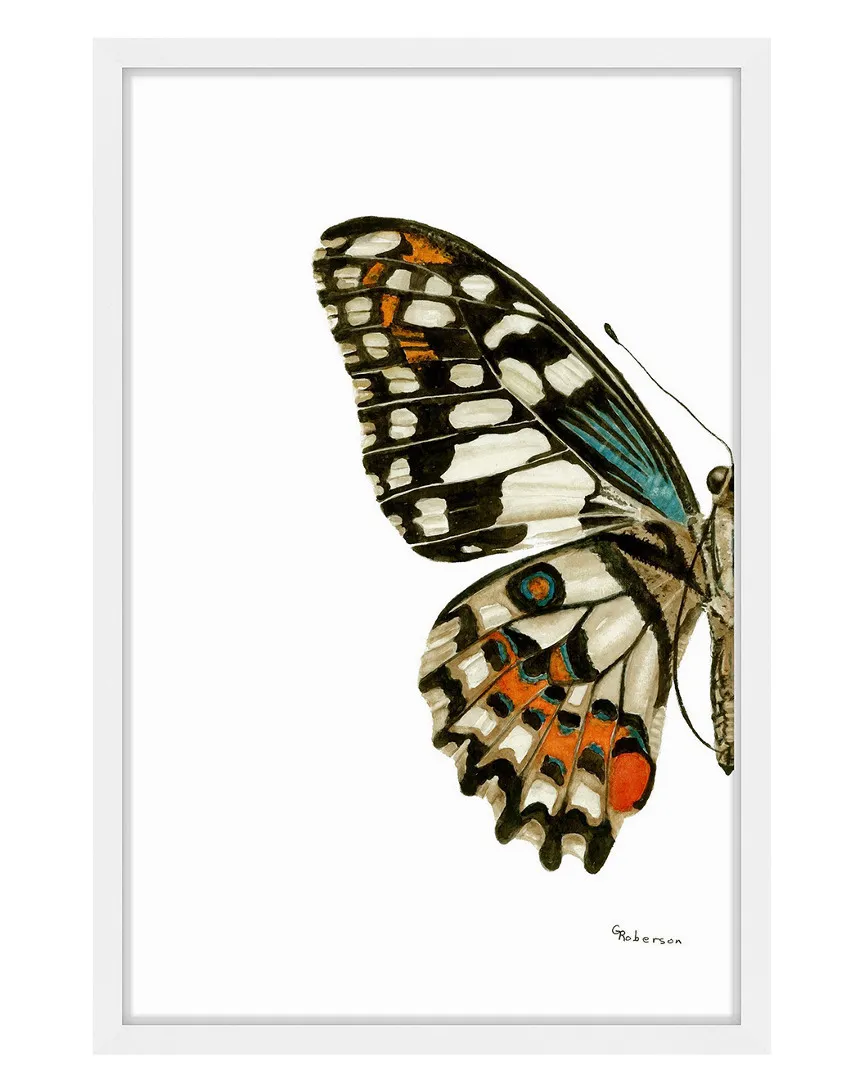 Papilio Demoleus Lime Swallowtail Framed Art Print image