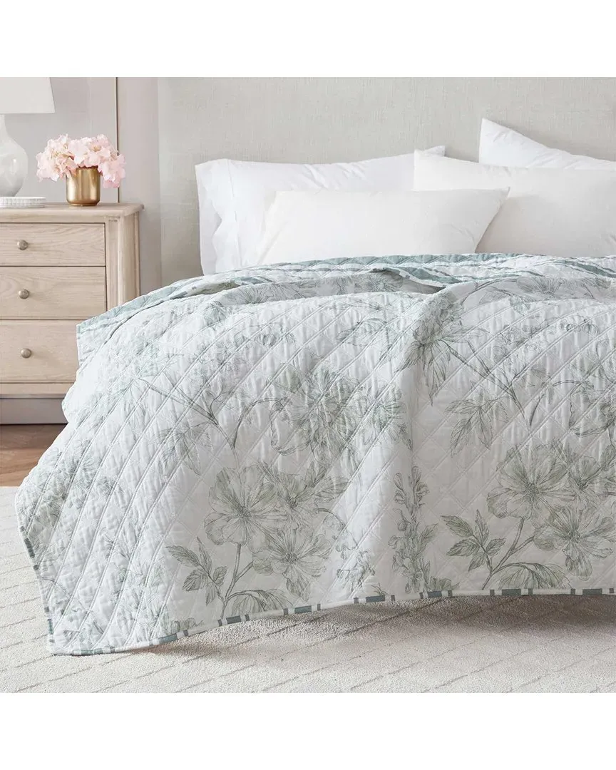 Vine Flora Cotton Percale Throw Blanket - Light Sage image
