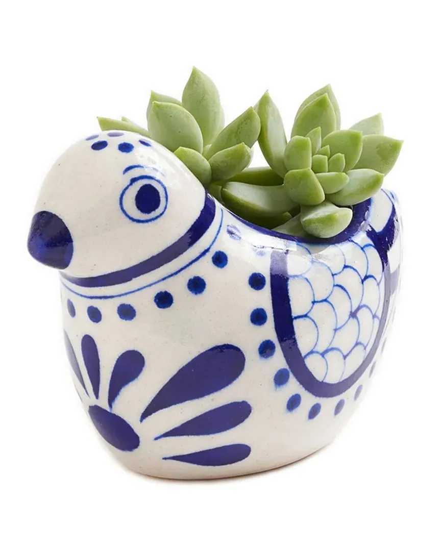 Lalita Bird Succulent Planter - White, Clay image