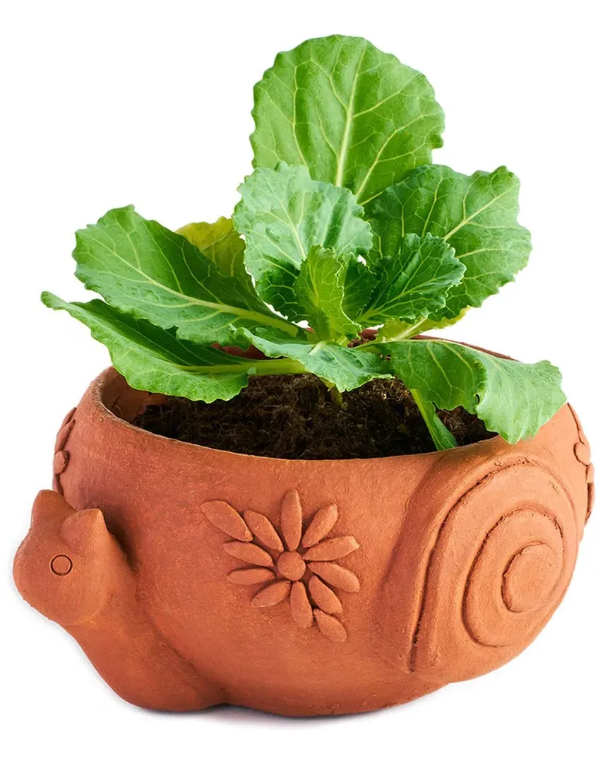 Rakshana Snail Plant Pot - Terracotta, Clay