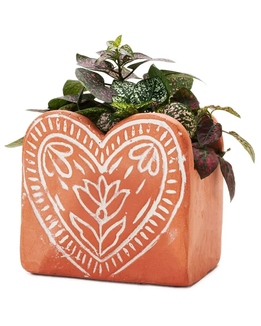 Vasanta Heart Planter with Drainage - Terracotta, Clay image