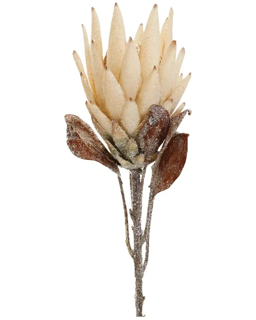Set of 2 Protea Flower Stems - Beige image