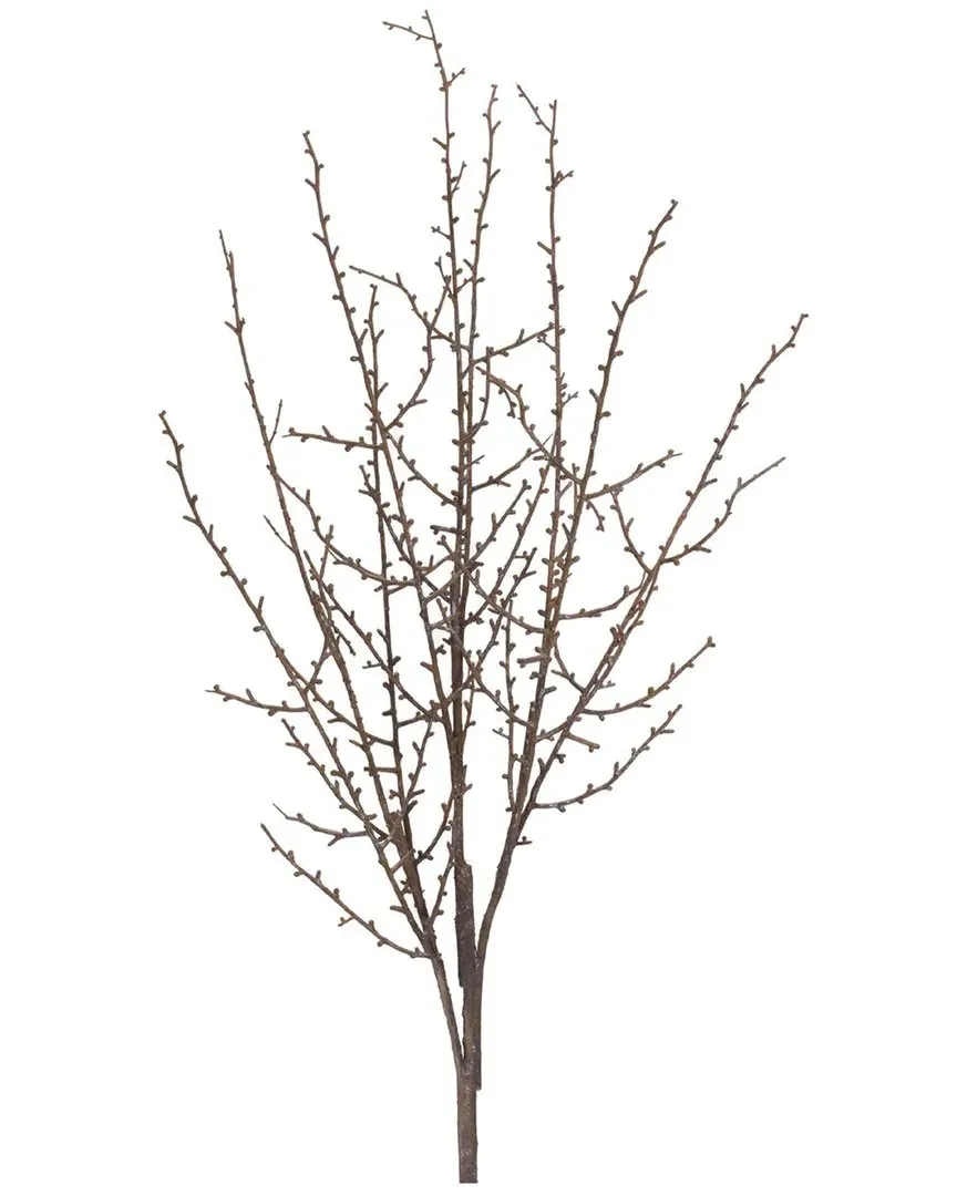 Set of 6 Birch Twig Branch - Brown