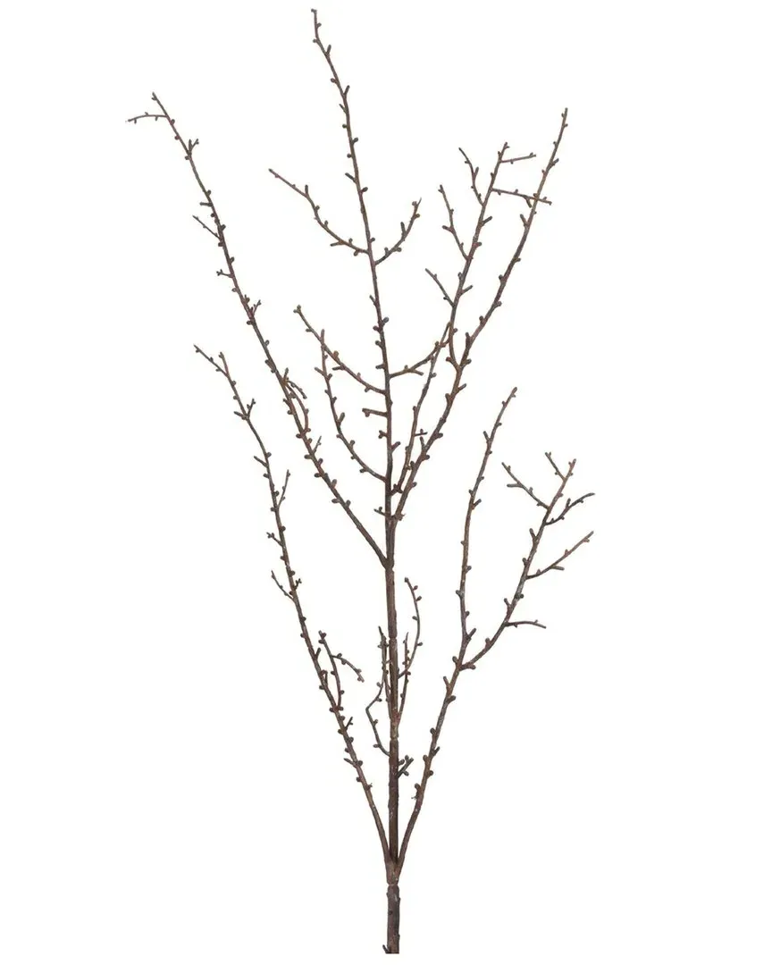 Set of 6 Birch Twig Branch - Brown image