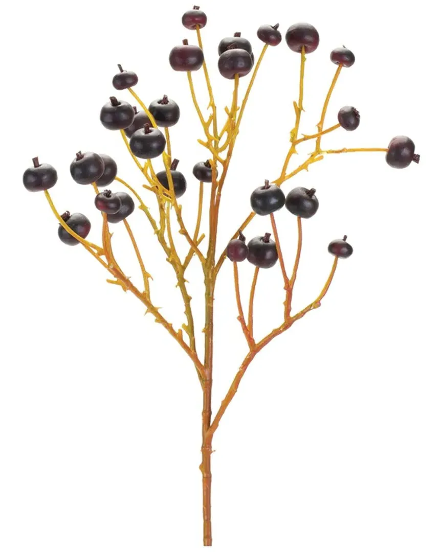 Set of 6 Blue Berry Spray - Brown