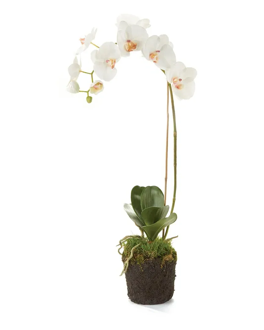 26in Phalaenopsis Orchid Drop-In - White image