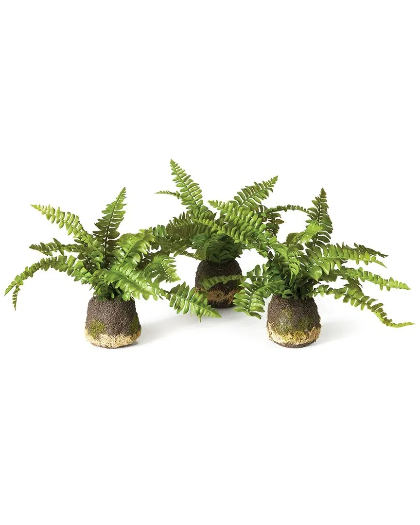 Set of 3 Boston Fern Drop-Ins - Green, Plastic image