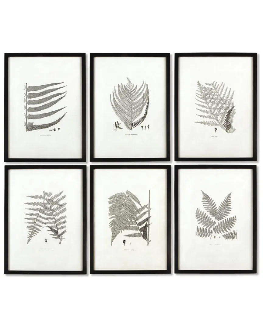 Set of 6 Framed Grey Toned Fern Prints