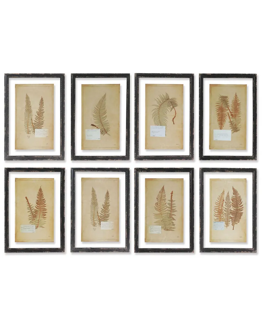 Set of 8 Framed Vintage Fern Prints - Earth Tones image