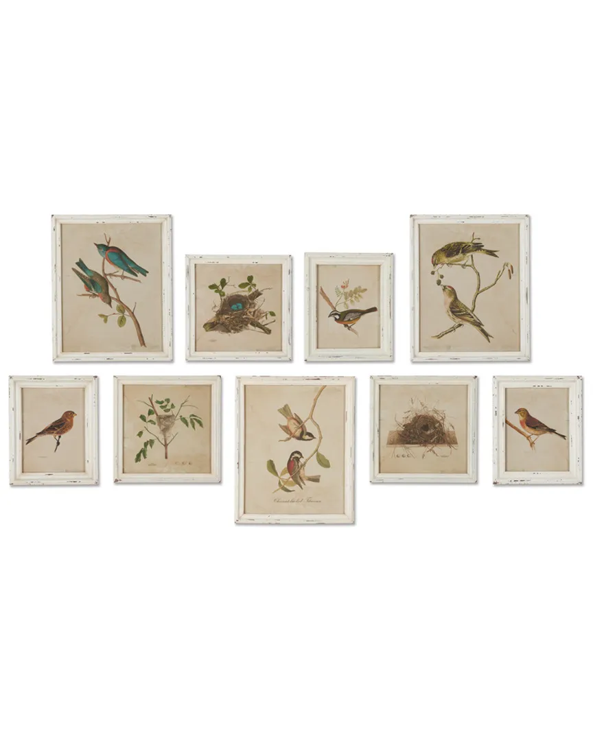 Set of 9 Aviary Bird & Nest Habitat Prints - White, Brown image