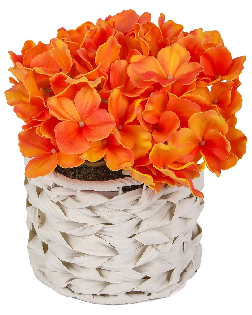 10In Hydrangea Bouquet in White Basket - Orange