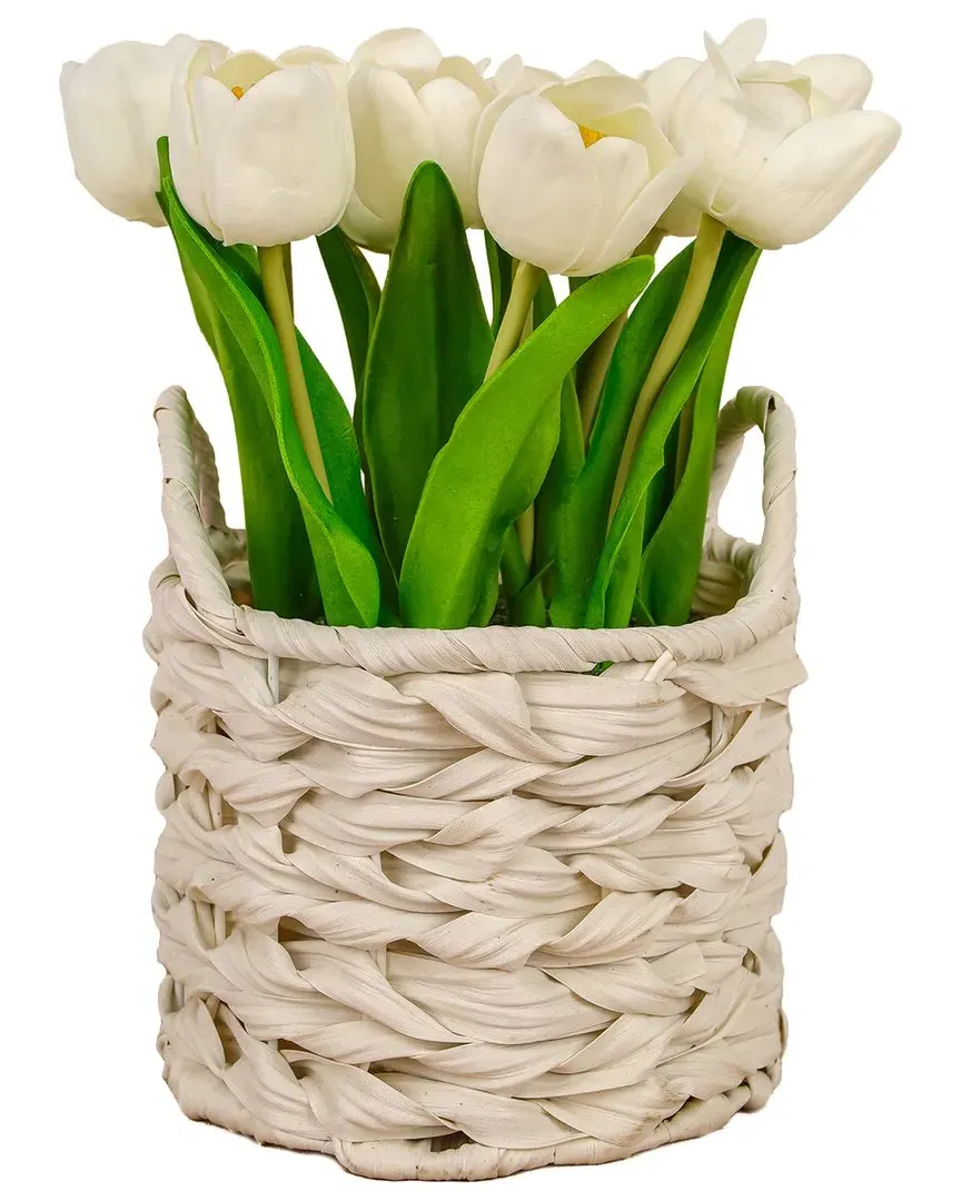 10In Tulip Bouquet in White Basket - White