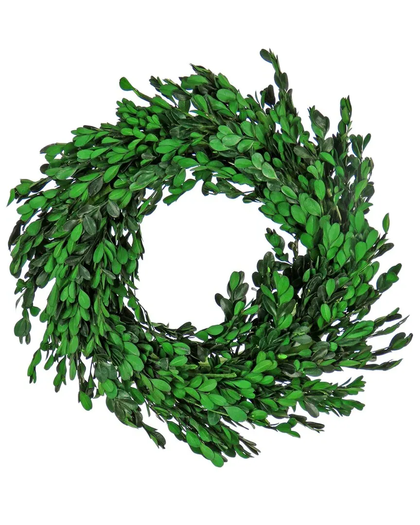 18In Spring Boxwood Wreath - Green