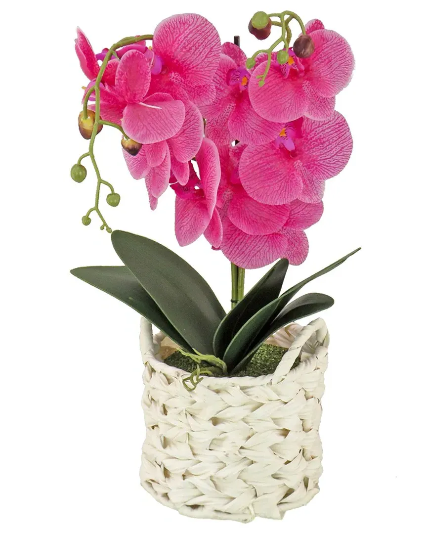 21In Orchid Flower in White Basket - Purple