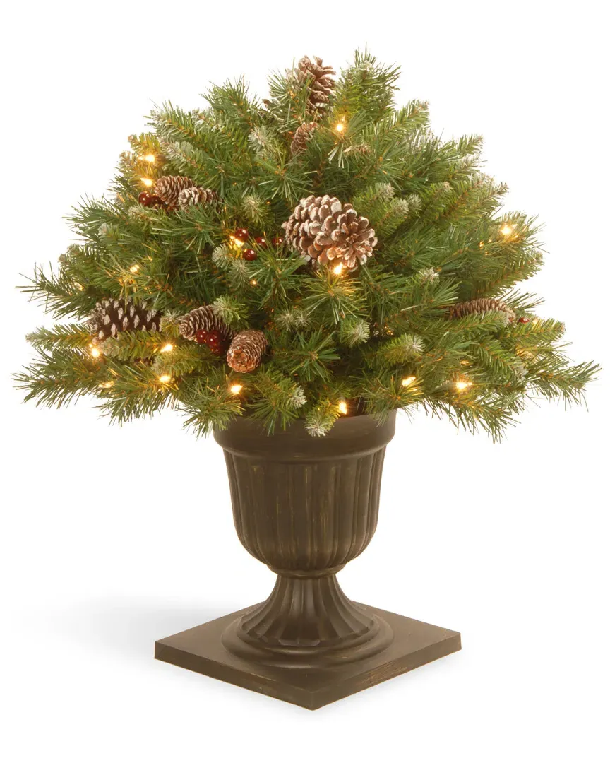 24in Frosted Berry Porch Bush with Cones - Green